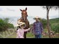 NINO CAMPESINO DESDE EL CAMPO A VIDEO OFICIAL EL ORGULLO DE VALENCIANA PROMO 2021