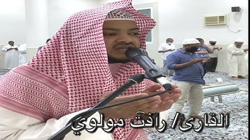 دعاء ليلة(٢٨)١٤٤٢ القارئ/ رأفت مولوي