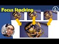 🔬 How to do focus stacking | Amateur Microscopy