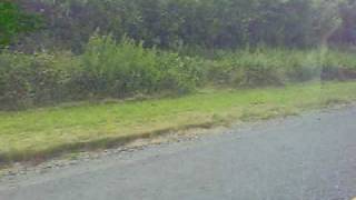 VID00054.AVI