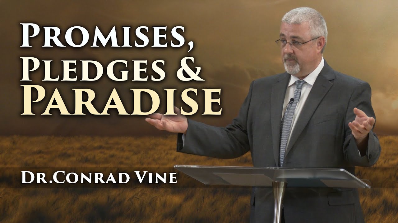 Conrad Vine - Promises, Pledges and Paradise
