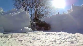 Traxxas Summit playing with bulldog Gopro & Polaroid Cube