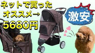 【犬用カート】ついに納車！ネットで買った激安ペットカートって使えるの？購入品紹介【トイプードル羊カット】