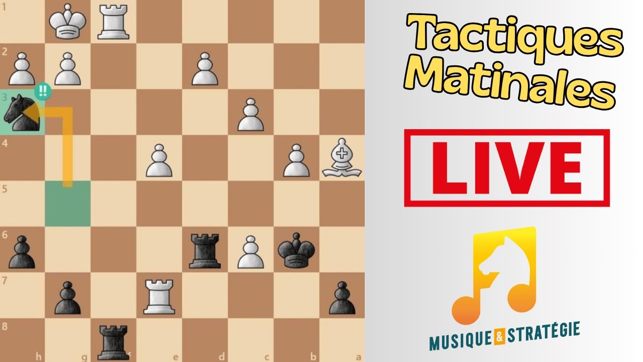 YAKOV NEISHTADT LECONS De Tactique Echecs Sovietiques Strategie Jeu EUR