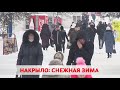 В Беларусь пришла зима