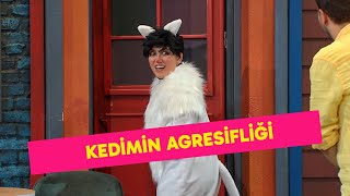 Arkadaşlık Etmesini Beklediğim Kedimin Agresifliği Çok Güzel Hareketler 2