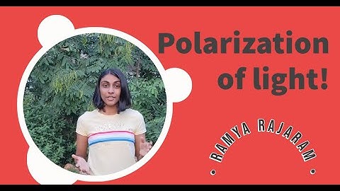 Polarization of Light - Breakthrough Junior Challenge 2021
