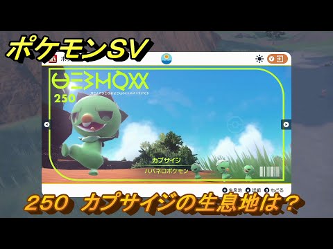 ポケモンsv カプサイジの種族値 わざ 特性など基本情報まとめ スカーレット バイオレット 攻略大百科