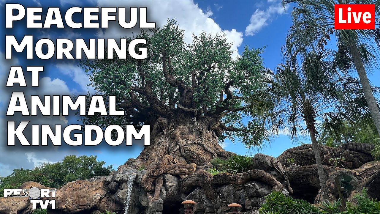 🔴Live: A Peaceful Morning at Disney's Animal Kingdom - Walt Disney World Live Stream - 9-4-22