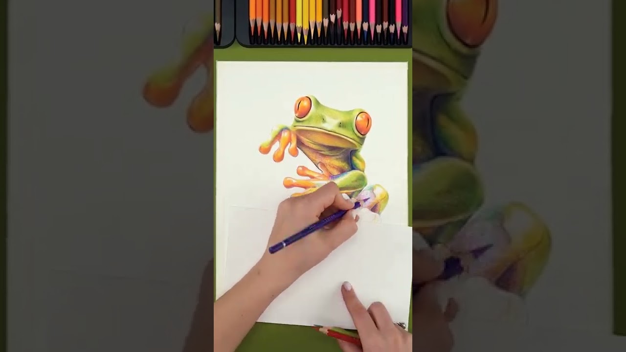 Colored pencils drawing a frog/Drawing ideas/Tutorial 