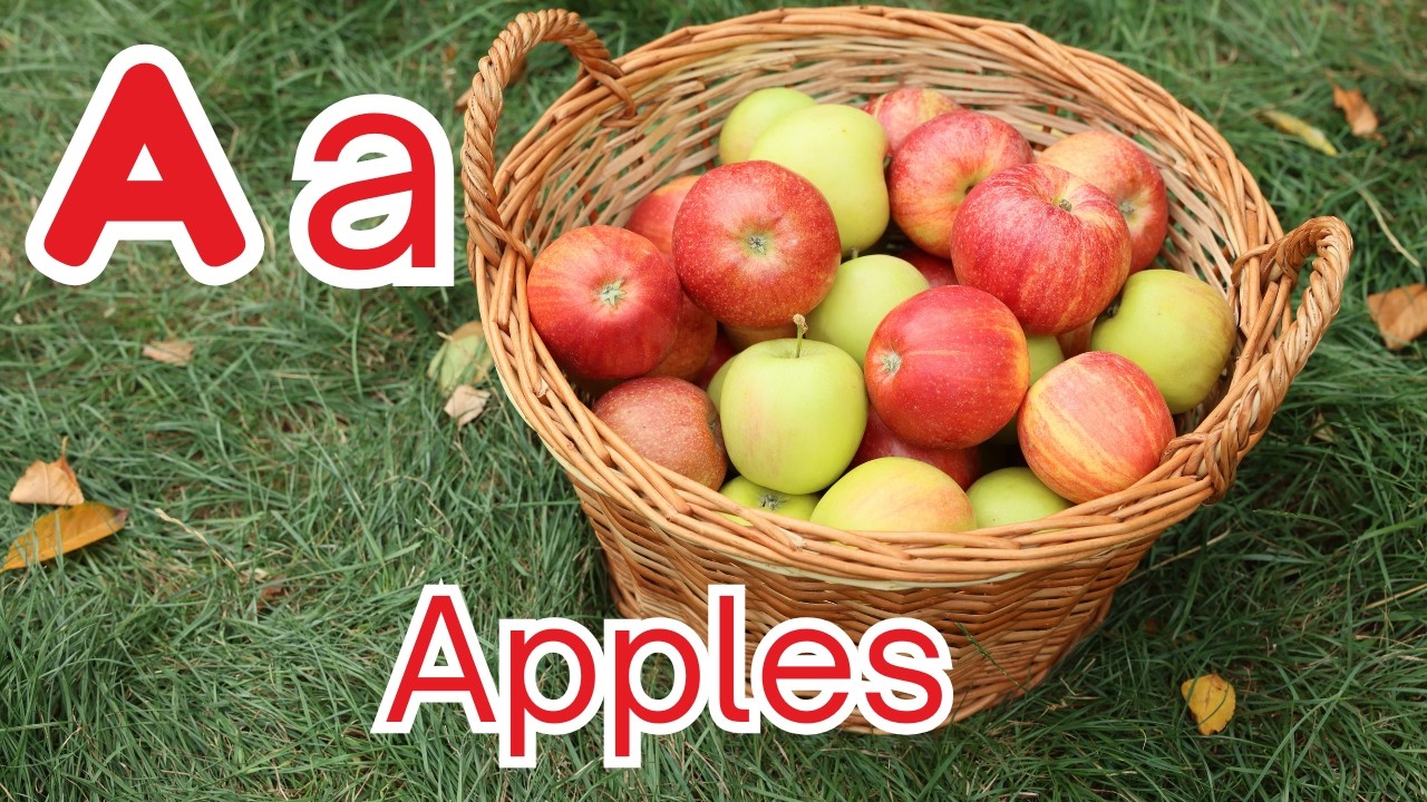 ABC Phonics Alphabet | Learn the Alphabet |Toddler Learning Video | Speech | Letter Sounds