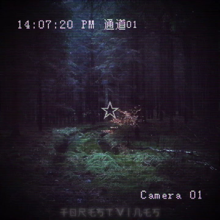 🐾I love forests ♡ ~ f0r3st_v1n3s🌿