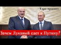 Встреча Лукашенко и Путина( часть 1). Таро прогноз