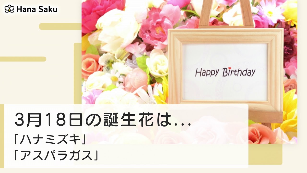 3月18日の誕生花 花言葉の由来 誕生日の有名人 何の日かも解説 Hanasaku