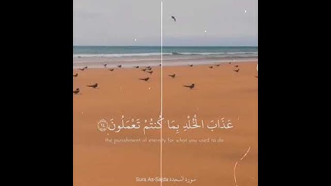 من أجمل ما سمعت تلاوة هادئة للقارئ عبد الرحمن مسعد حالات واتس آب إسلامية