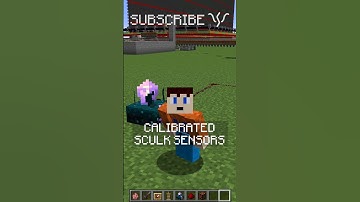 I LEARNED A BUG about ITEM FRAMES? | Redstone with PsiVolt #minecraft #redstone