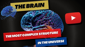 The Brain: The Most Complex Structure in the Universe