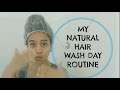 My Wash Day Routine on Natural Hair X Vlog | Frizzique