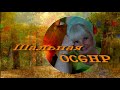 Шальная осень   !