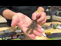 Carl Jocumsen Adrenaline Craw Jr Carl Jocumsen Adrenaline Craw Jr