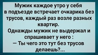 Как Мужик в Подъезде Наглого Очкарика Проучил! Сборник Свежих Анекдотов! Юмор!