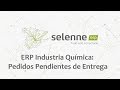 Industria Química ERP Selenne pedidos pendientes