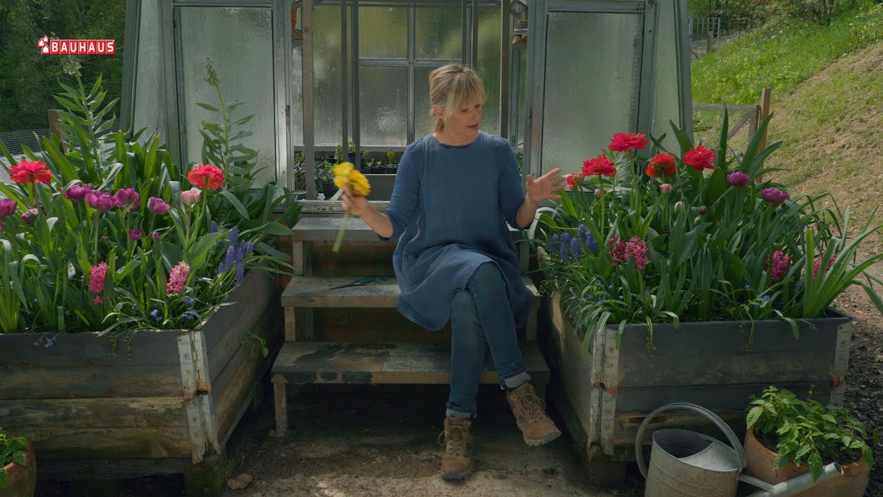 Škola vrtlarstva - dobra lukovica