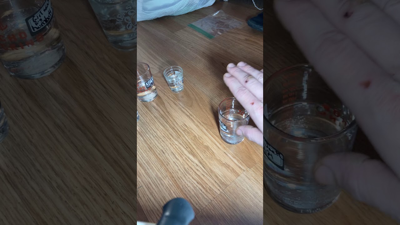 How to germinate weed seeds!:)giveaway coming soon!:)