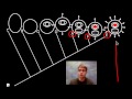 Cladograms and Evolutionary Relationships in Aquatic Organisms