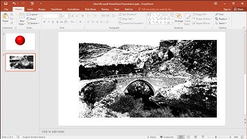 How to apply black and white coloring to an image in Powerpoint