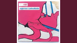 Video thumbnail of "Algernon Cadwallader - Foggy Mountain"