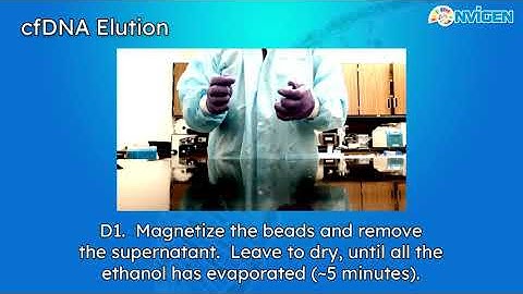 cell free DNA (cfDNA) Extraction from plasma samples (500uL) with MagVigen™ Magnetic Nanoparticles
