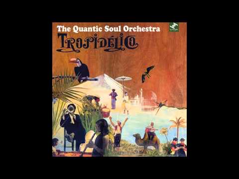 The Quantic Soul Orchestra ‎– Assassin‼️ The Quantic Soul Orchestra – Assassin – Vinyl (7