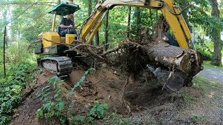 Installing a fence and planting trees