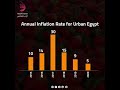 .graphic  annual inflation rate for urban egypt