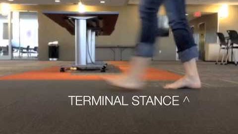 Gait Motion Analysis_Amico_Murray