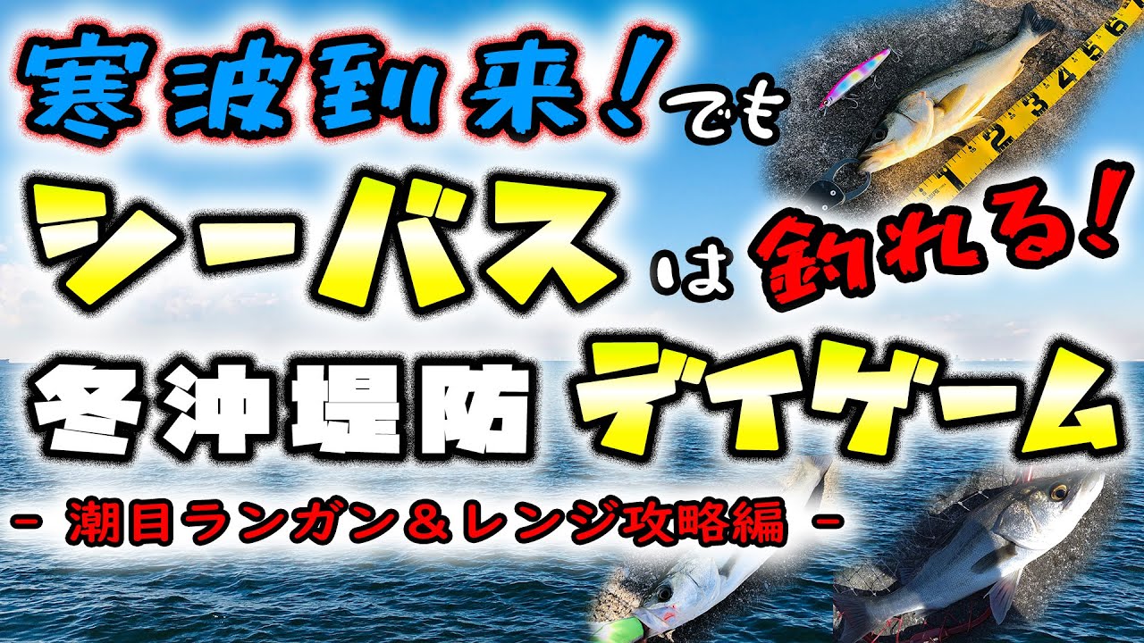 寒波到来でもシーバスは釣れる！冬沖堤防デイゲーム！ - 潮目ランガン＆レンジ攻略編 -