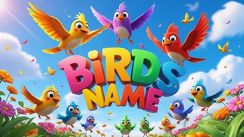 Birds Name For Kids | Nursery Rhyme | Fun Educational Video | Best Learning Video For Toddlers