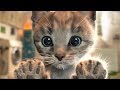 Aprender colores mascota vestirse con bebé - Lindo Gatito Aventuras | Dibujos Animados Infantiles