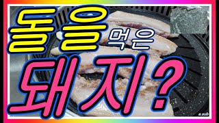 돌을 먹여서 키운 돼지를 먹으면? 문경 약돌 돼지 최저가로 즐기기!! 문경 식육점 차림식당 방문기! #약돌 #문경 #약돌돼지