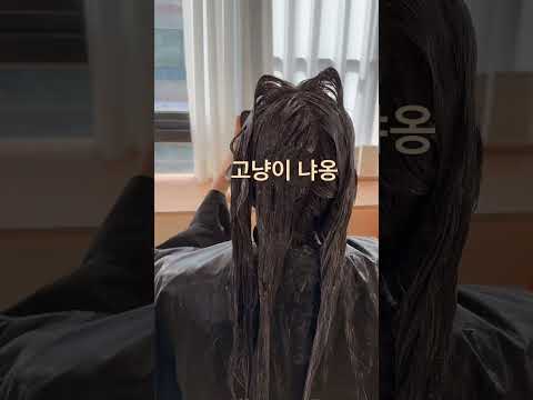 꾸밈헤어