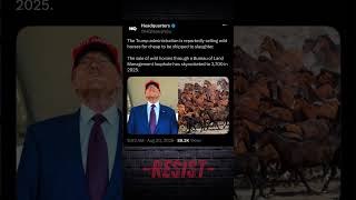 3,700 wild horses for slaughter...why #youtubeshorts #shorts #usa #maga #politics #viral #trending