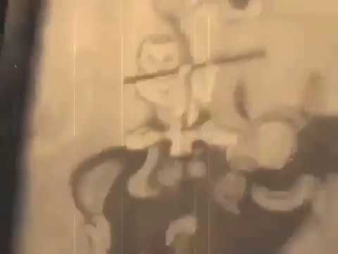 Video Nature Groove | Thamz ????????????#Hưởng - youtube