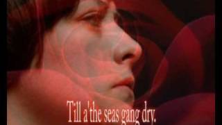 Video thumbnail of "Camera Obscura - A Red, Red Rose"