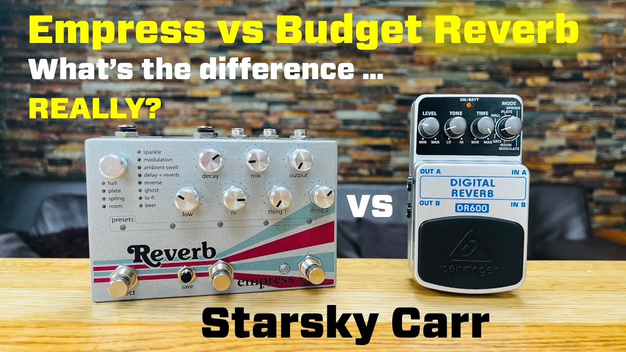 Hi End Reverbs - Are they worth it? // Empress Reverb vs Behringer DR600