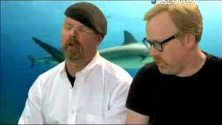 MythBusters - Underwater Armor and Sharks
