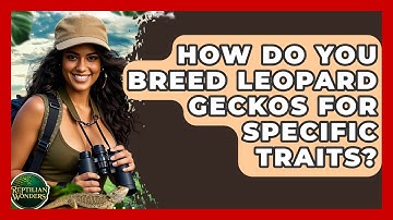 How Do You Breed Leopard Geckos For Specific Traits? - Reptilian Wonders