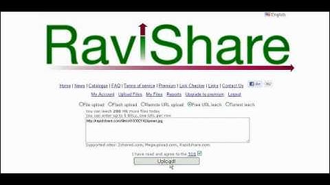 Download from Rapidshare or Megaupload as premium with Ravishare