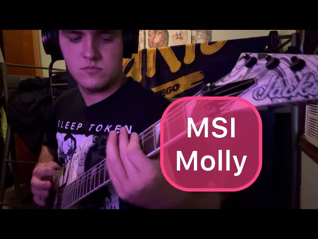 Mindless Self Indulgence - Molly Guitar Cover