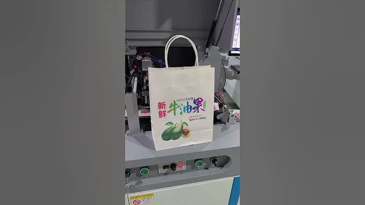 CSJ-210PC paper cup digital printing machine